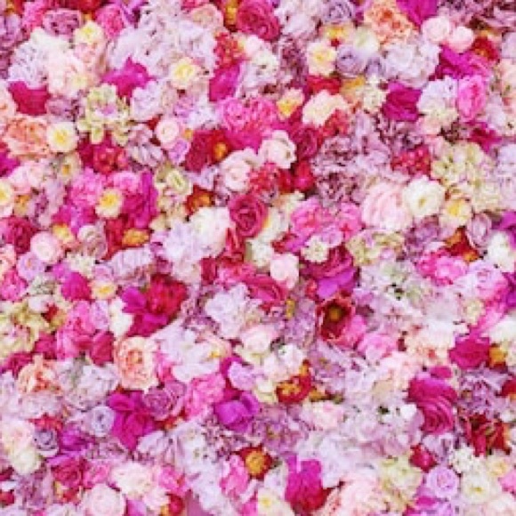 Meet your Posher, Genaveive - Picture 1 of 1